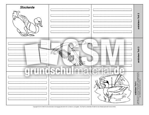 Leporello-Stockente-5-1-2.pdf